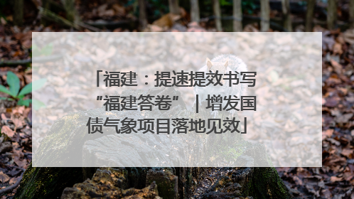 福建：提速提效书写“福建答卷”｜增发国债气象项目落地见效