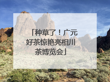 种草了！广元好茶惊艳亮相川茶博览会