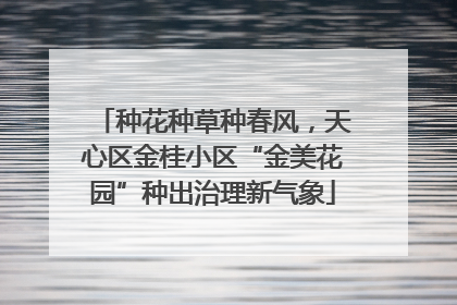种花种草种春风，天心区金桂小区“金美花园”种出治理新气象