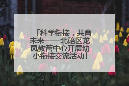 科学衔接，共育未来——北碚区龙凤教管中心开展幼小衔接交流活动