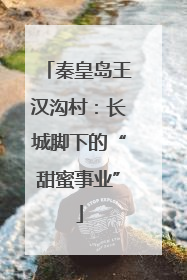 秦皇岛王汉沟村：长城脚下的“甜蜜事业”