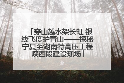 穿山越水架长虹 银线飞度护青山——探秘宁夏至湖南特高压工程陕西段建设现场