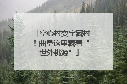 空心村变宝藏村！曲阜这里藏着“世外桃源”