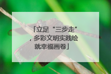 立足“三步走”，多彩文明实践绘就幸福画卷