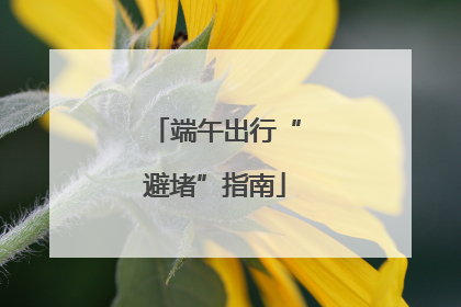 端午出行“避堵”指南