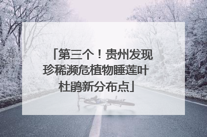 第三个！贵州发现珍稀濒危植物睡莲叶杜鹃新分布点