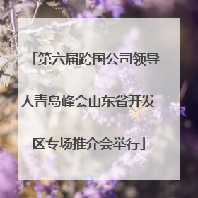 第六届跨国公司领导人青岛峰会山东省开发区专场推介会举行
