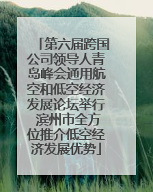 第六届跨国公司领导人青岛峰会通用航空和低空经济发展论坛举行 滨州市全方位推介低空经济发展优势