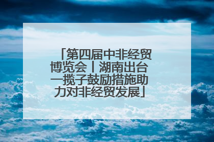 第四届中非经贸博览会丨湖南出台一揽子鼓励措施助力对非经贸发展