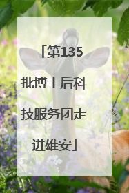 第135批博士后科技服务团走进雄安