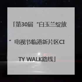 第30届“白玉兰绽放”电视节临港新片区CITY WALK路线