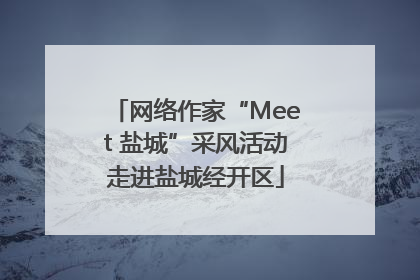 网络作家“Meet 盐城”采风活动走进盐城经开区