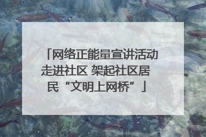 网络正能量宣讲活动走进社区 架起社区居民“文明上网桥”