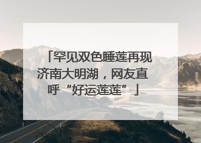 罕见双色睡莲再现济南大明湖，网友直呼“好运莲莲”