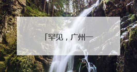 罕见，广州一景区并蒂莲与三蒂莲同时盛放