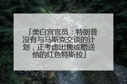 美白宫官员：特朗普没有与马斯克交谈的计划，正考虑出售或赠送他的红色特斯拉