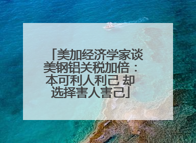 美加经济学家谈美钢铝关税加倍：本可利人利己 却选择害人害己