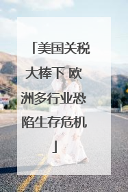 美国关税大棒下 欧洲多行业恐陷生存危机