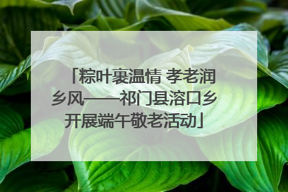 粽叶裹温情 孝老润乡风——祁门县溶口乡开展端午敬老活动
