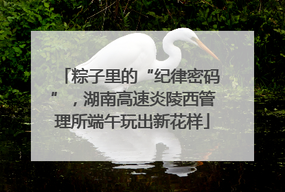 粽子里的“纪律密码”，湖南高速炎陵西管理所端午玩出新花样