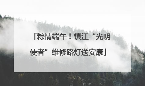 粽情端午！镇江“光明使者”维修路灯送安康