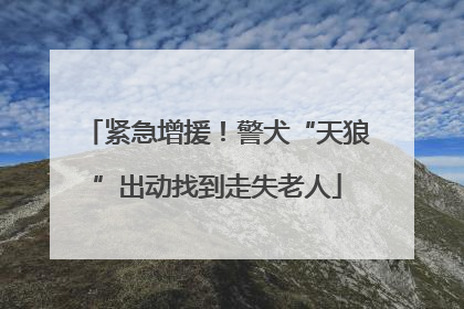 紧急增援！警犬“天狼”出动找到走失老人