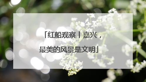 红船观察丨嘉兴，最美的风景是文明