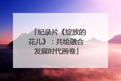 纪录片《绽放的花儿》：共绘融合发展时代画卷