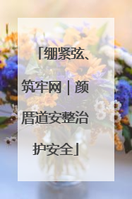 绷紧弦、筑牢网｜颜厝道安整治护安全