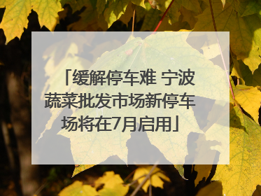 缓解停车难 宁波蔬菜批发市场新停车场将在7月启用