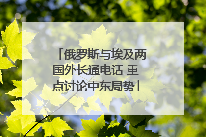 俄罗斯与埃及两国外长通电话 重点讨论中东局势