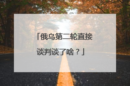 俄乌第二轮直接谈判谈了啥？
