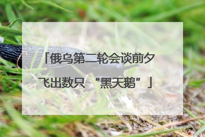 俄乌第二轮会谈前夕 飞出数只 “黑天鹅”