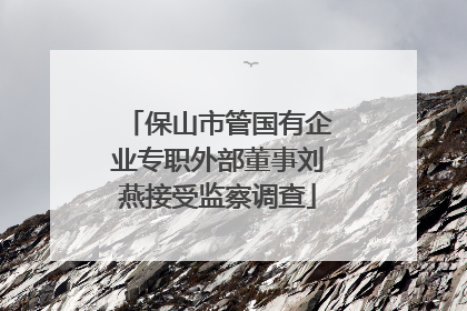 保山市管国有企业专职外部董事刘燕接受监察调查