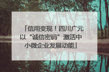 信用变现！四川广元以“诚信密码”激活中小微企业发展动能