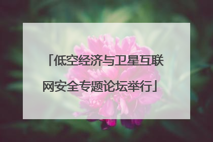 低空经济与卫星互联网安全专题论坛举行