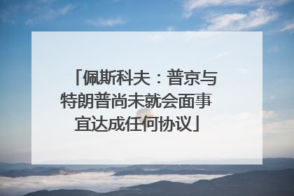 佩斯科夫：普京与特朗普尚未就会面事宜达成任何协议