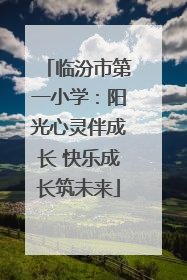 临汾市第一小学：阳光心灵伴成长 快乐成长筑未来