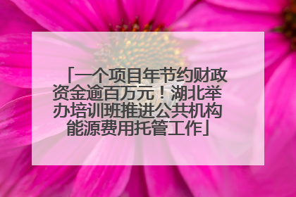 一个项目年节约财政资金逾百万元！湖北举办培训班推进公共机构能源费用托管工作