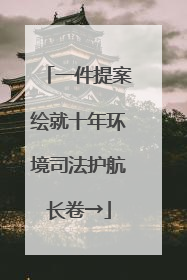 一件提案绘就十年环境司法护航长卷→