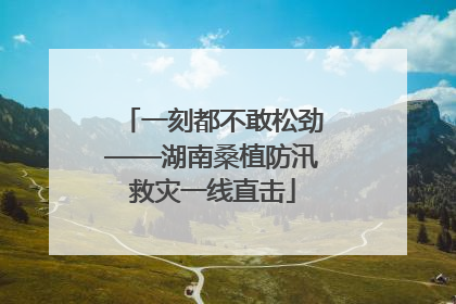 一刻都不敢松劲——湖南桑植防汛救灾一线直击