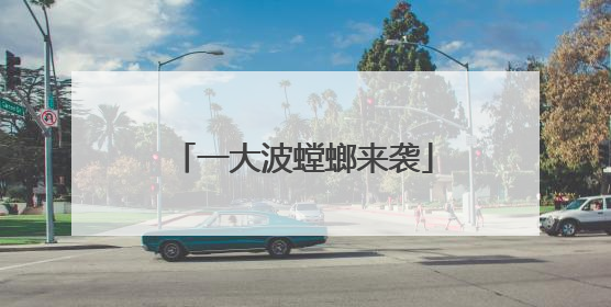 一大波螳螂来袭
