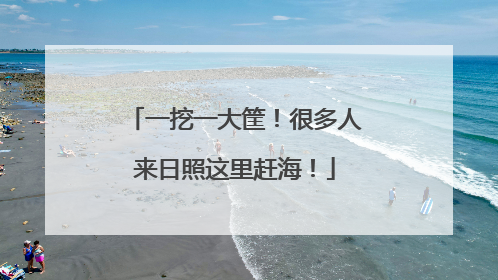 一挖一大筐！很多人来日照这里赶海！