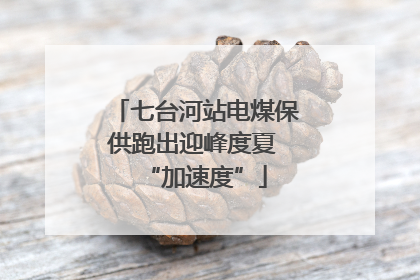 七台河站电煤保供跑出迎峰度夏 “加速度”