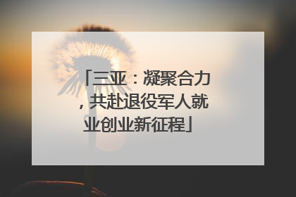 三亚：凝聚合力，共赴退役军人就业创业新征程