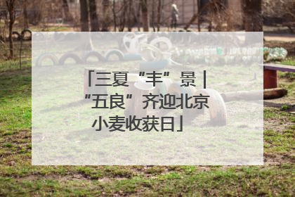 三夏“丰”景｜“五良”齐迎北京小麦收获日