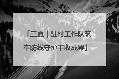 三夏｜驻村工作队筑牢防线守护丰收成果