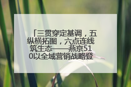 三贯穿定基调，五纵横拓图，六点连线筑生态——燕京510以全域营销战略登顶行业IP新高度