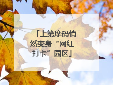上第摩码悄然变身“网红打卡”园区
