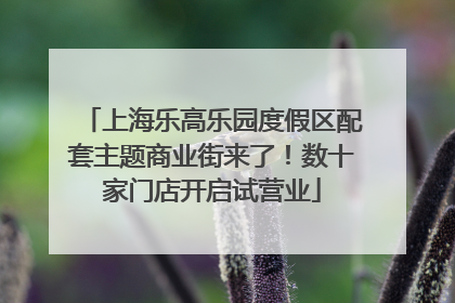 上海乐高乐园度假区配套主题商业街来了！数十家门店开启试营业